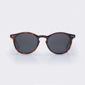 Pipeline - Tortoise Shell