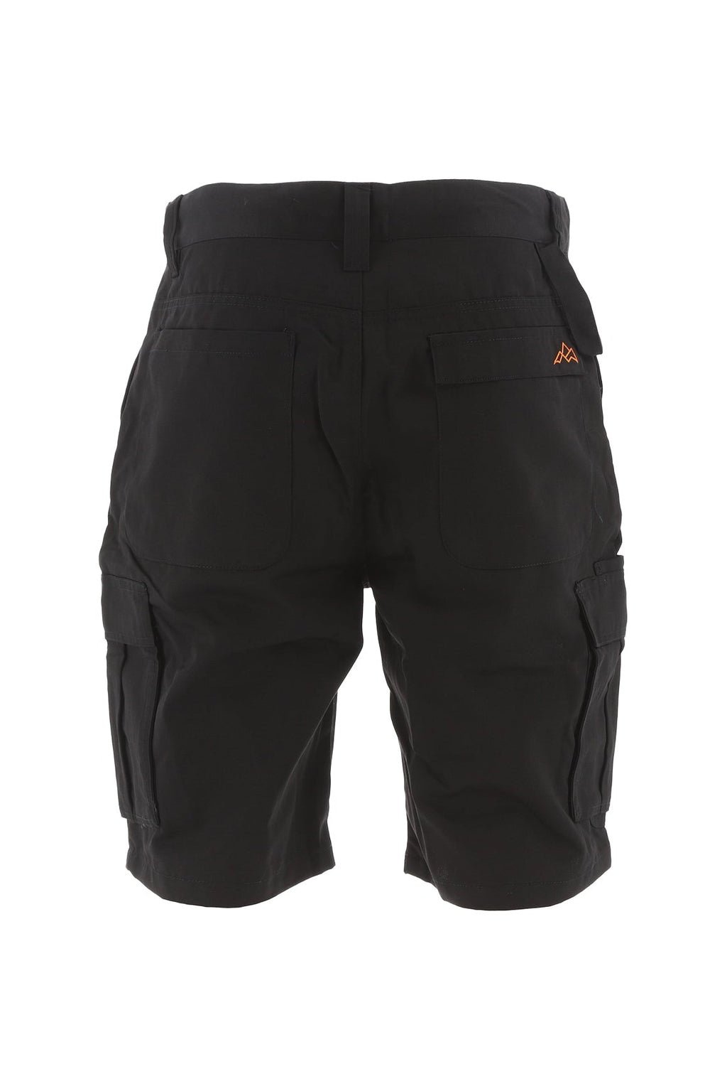 North Peak Axis Cargo Short