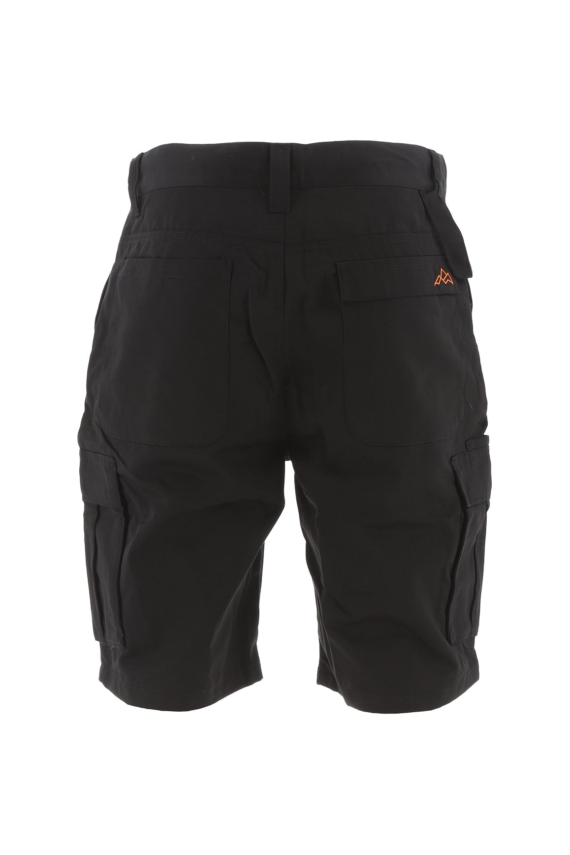 North Peak Axis Cargo Short