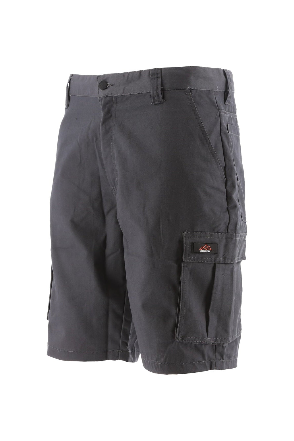North Peak Axis Cargo Short
