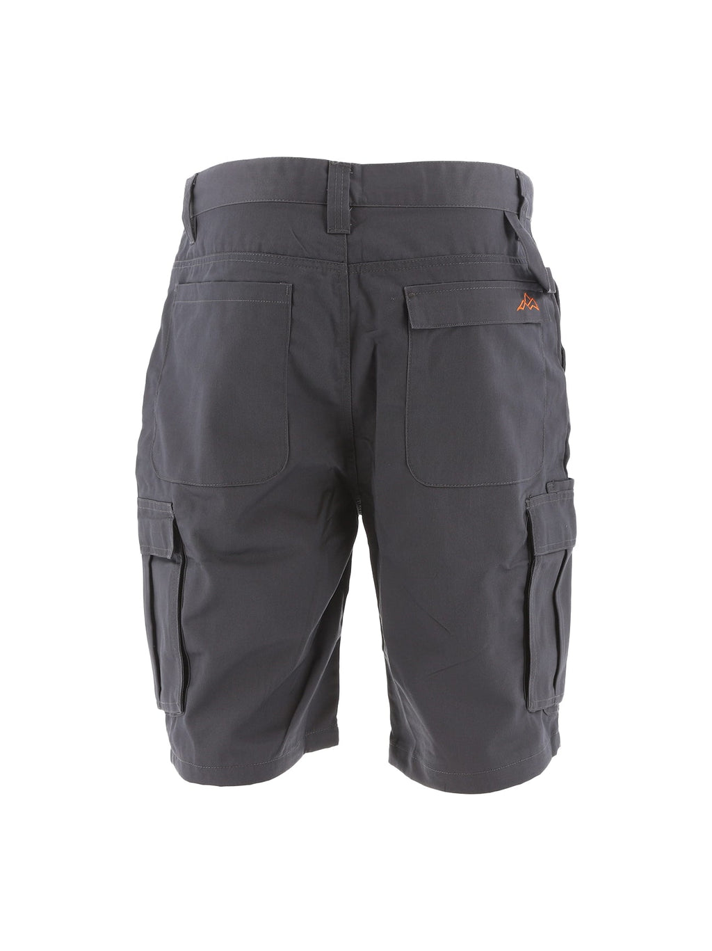 North Peak Axis Cargo Short