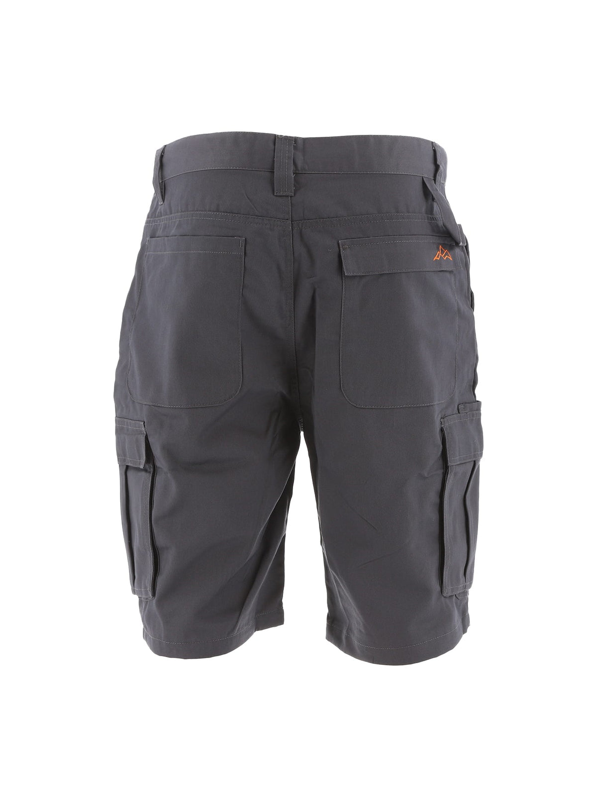 North Peak Axis Cargo Short