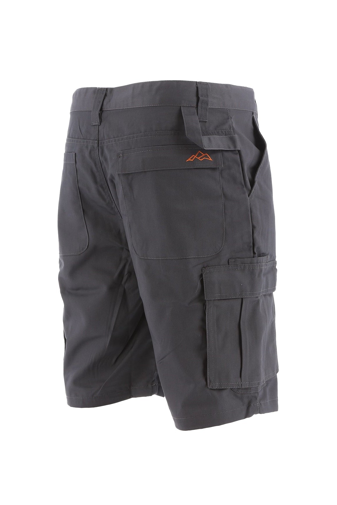 North Peak Axis Cargo Short