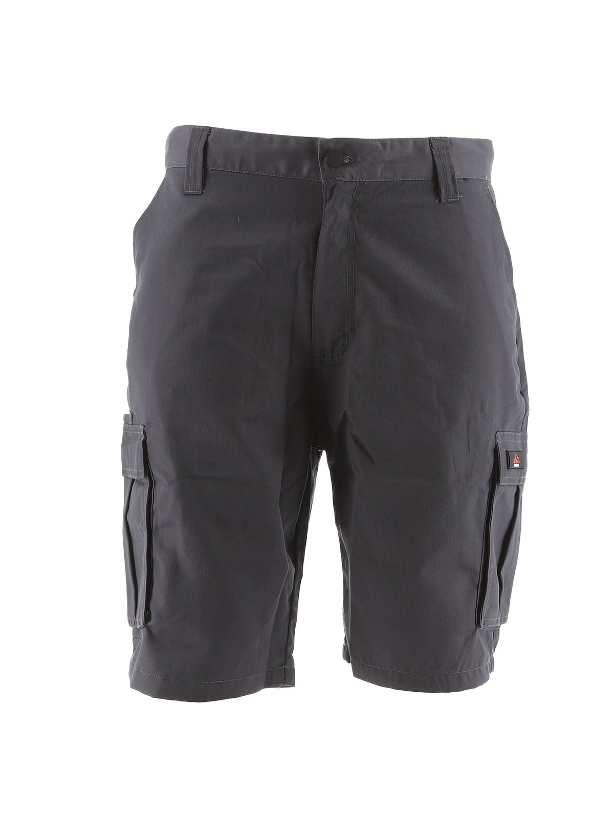 North Peak Axis Cargo Short