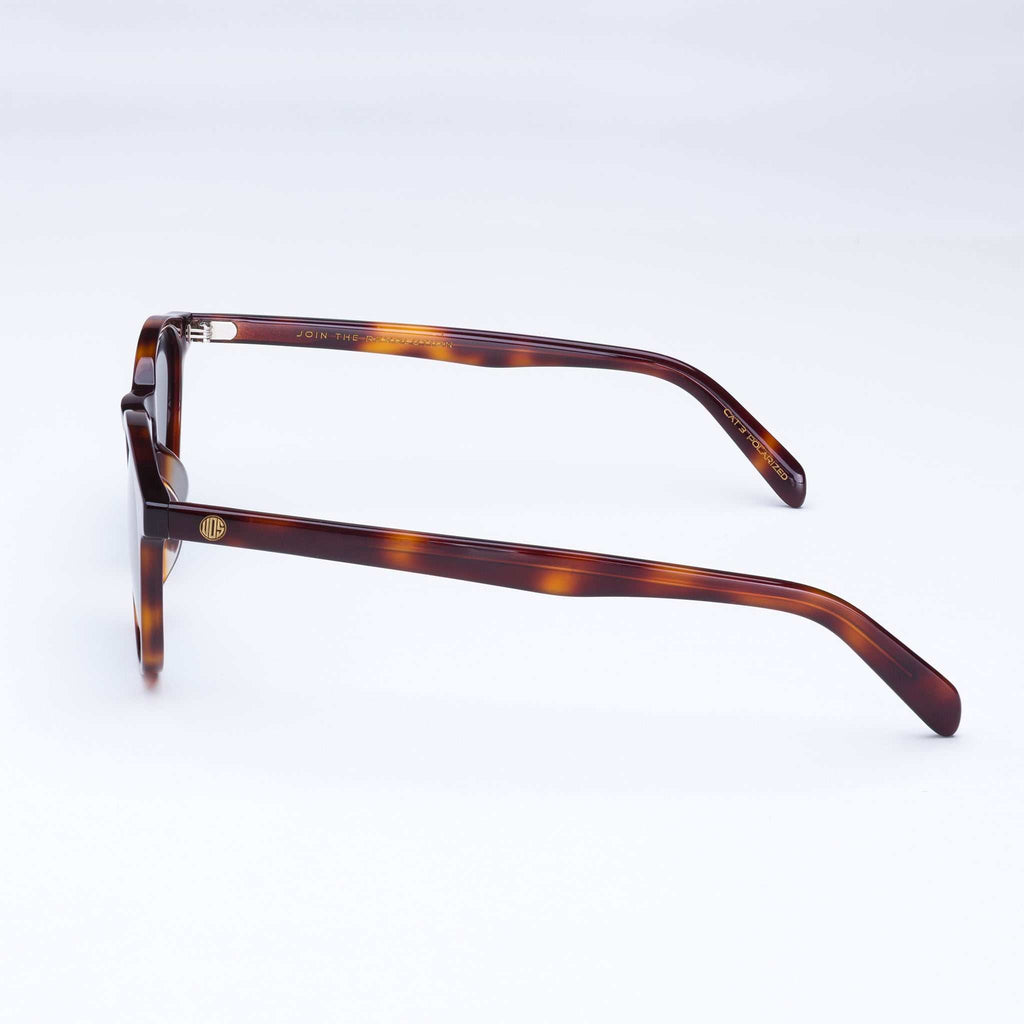 Pipeline - Tortoise Shell