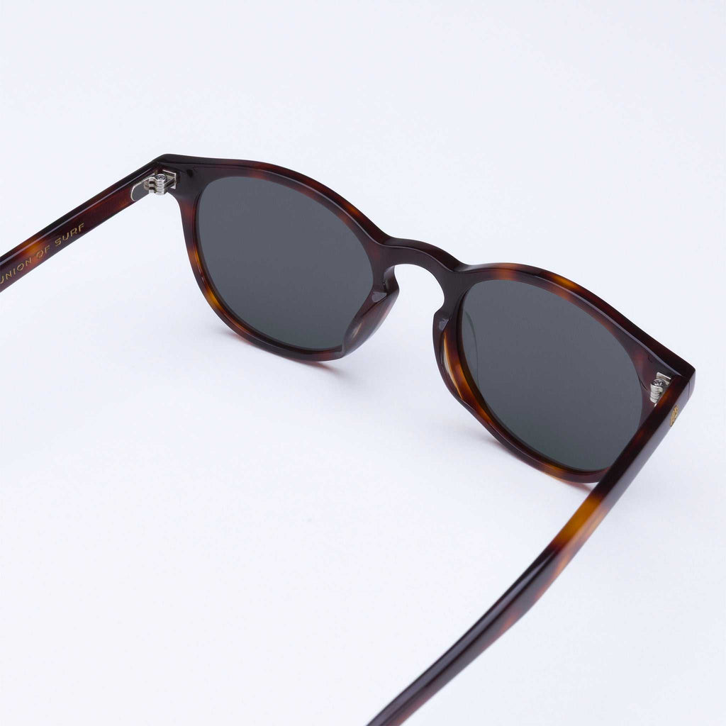 Pipeline - Tortoise Shell
